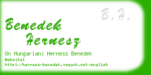 benedek hernesz business card